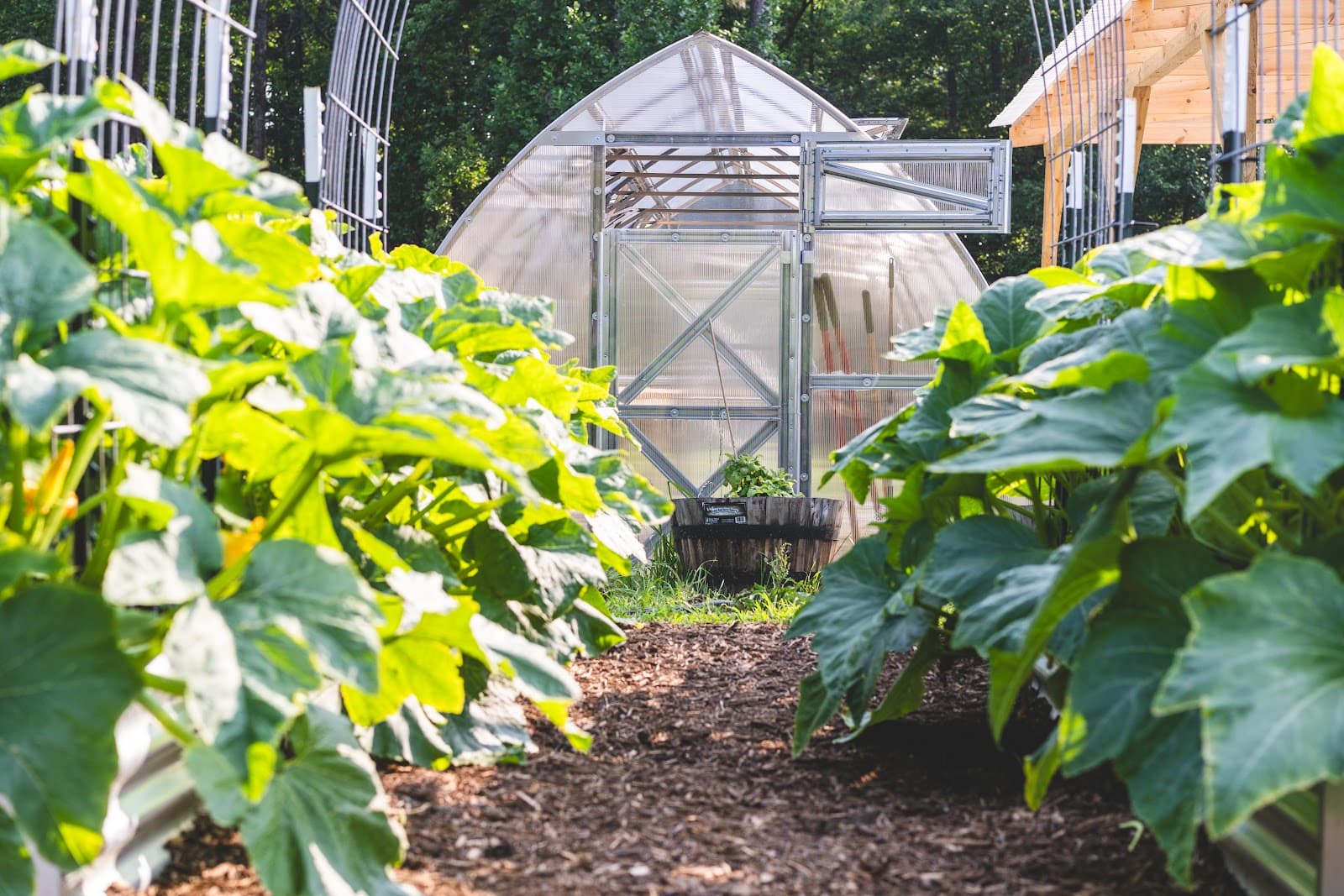 Community Farm