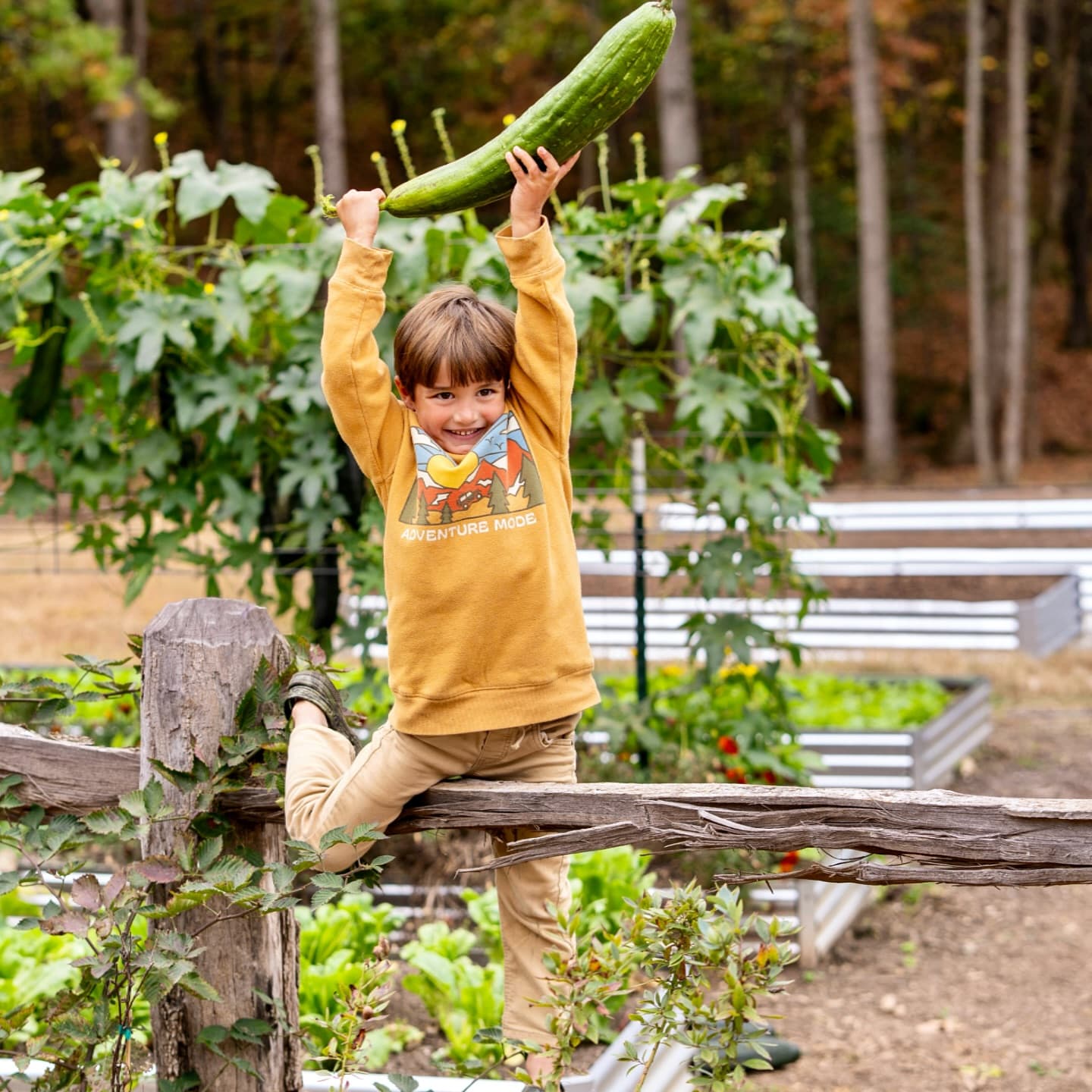 Child celebrating harvest