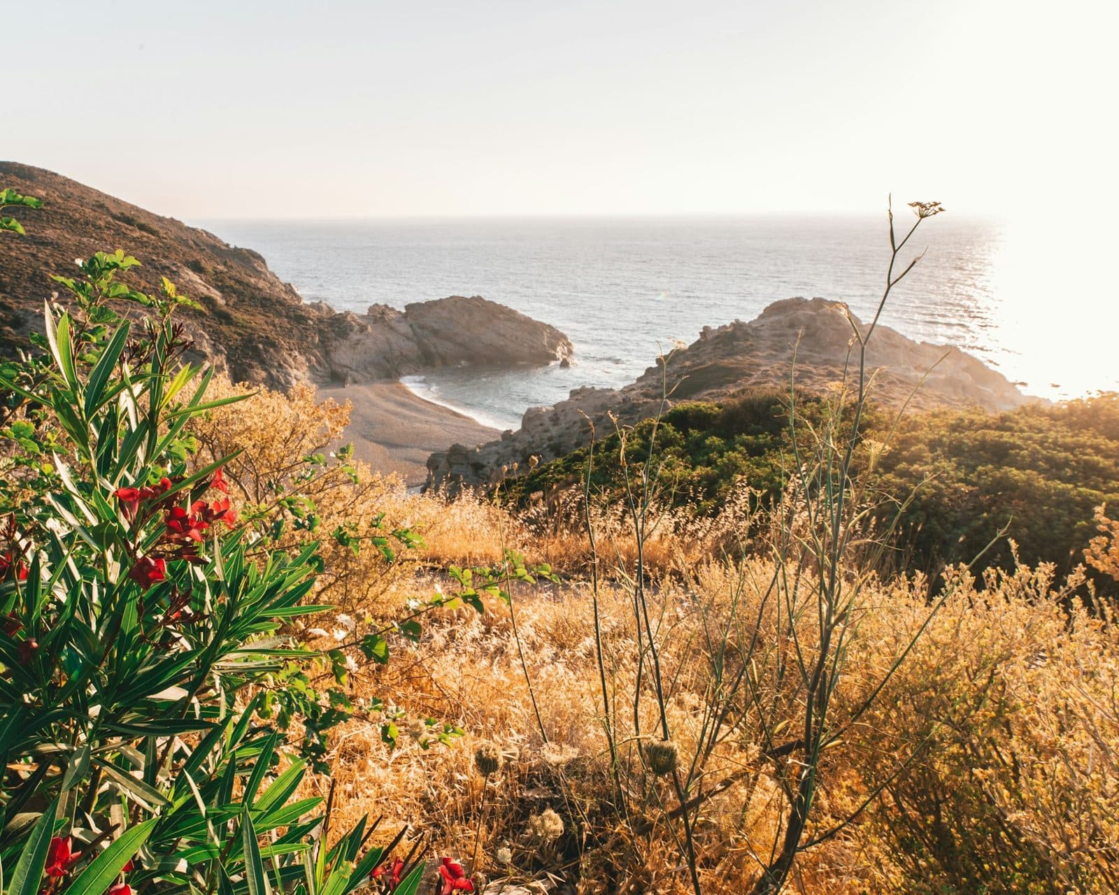 A sunlit hillside above the sea on Ikaria, Greece