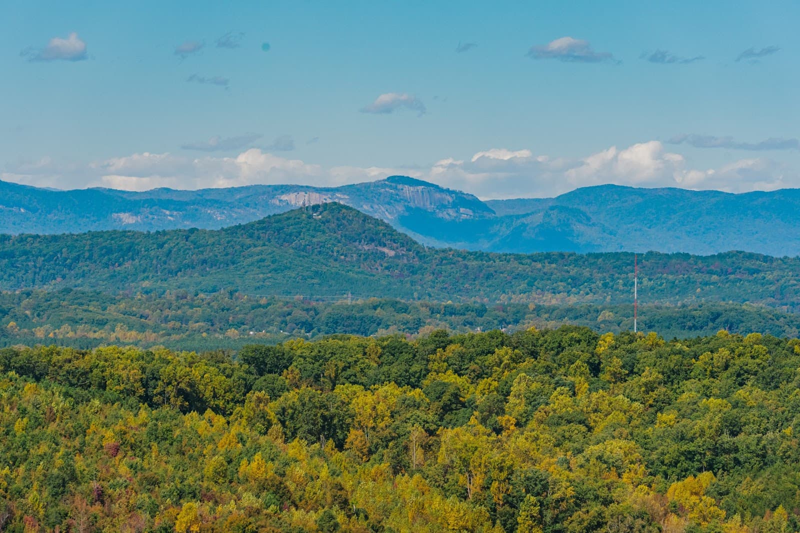 Longview Carolina agrihood living