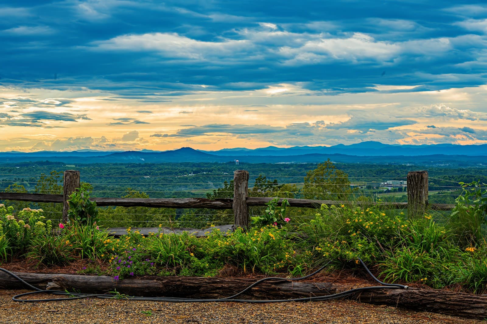 Longview Carolina 1