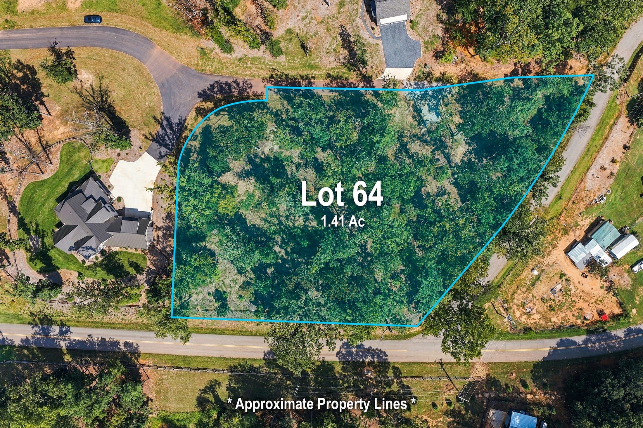 Lot 64