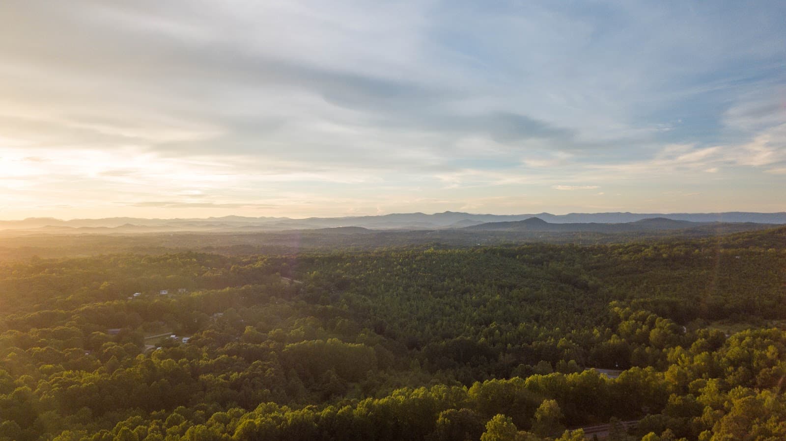 Longview Carolina 4