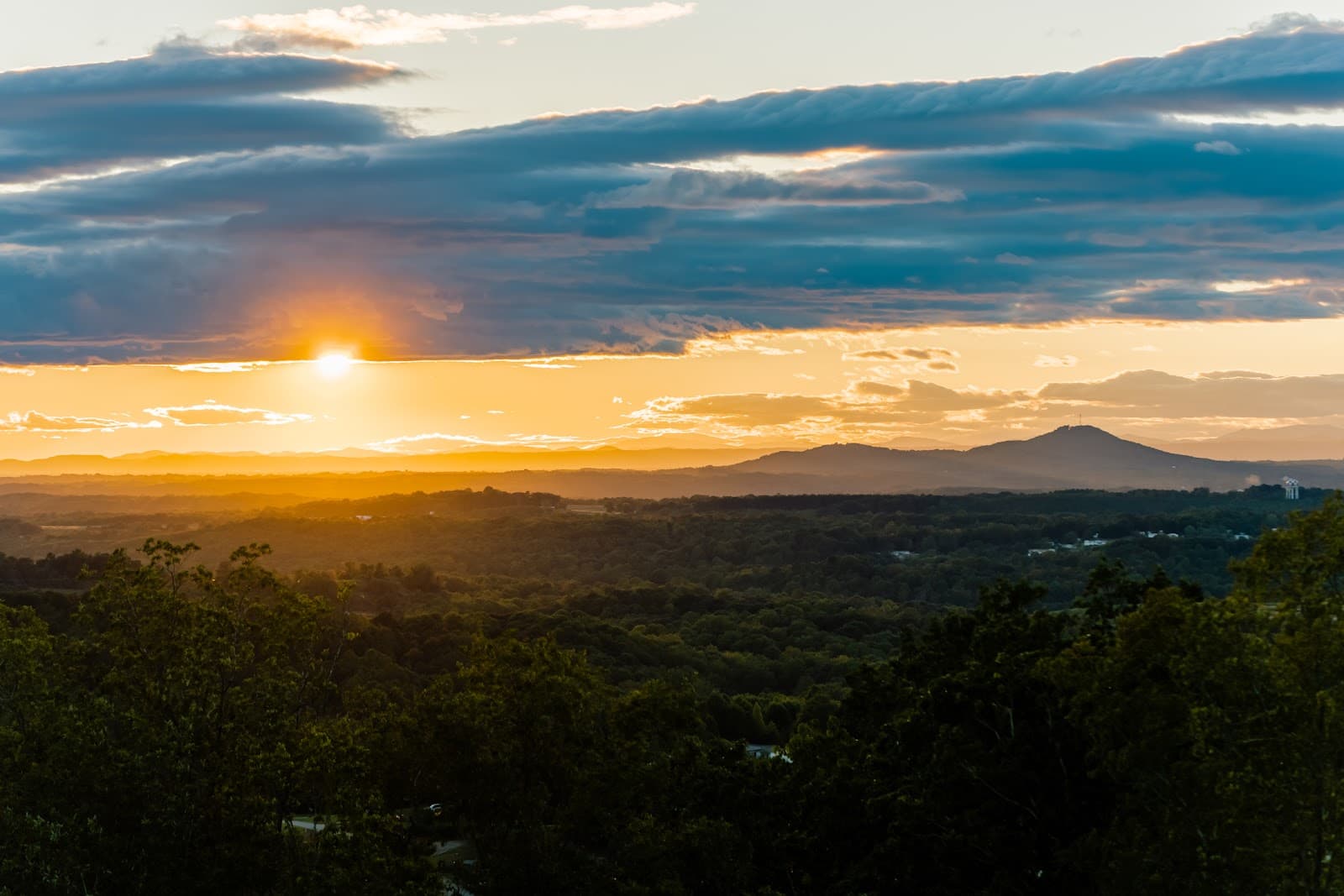 Longview Carolina 4